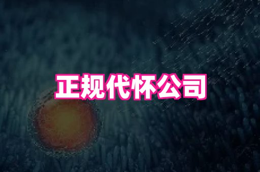 nub孕网 1