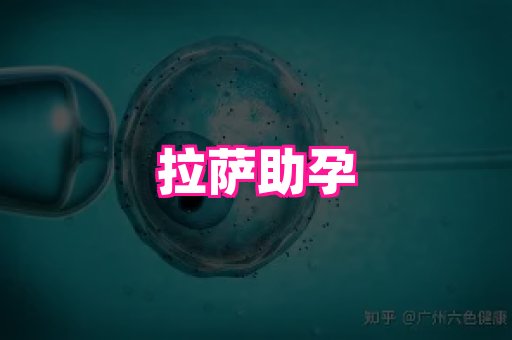 nub孕网 2