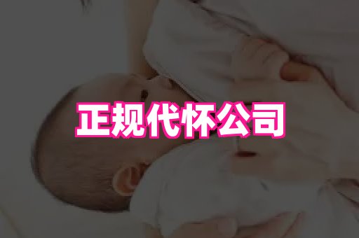 nub孕网 4